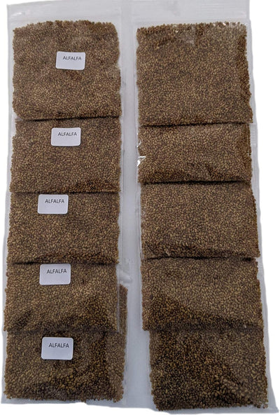 Semillas alfalfa brotes microvegetales 10 pzas 32oz 8pulg