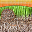 Vermiculita orgánica para plantas jardinería suelo macetas