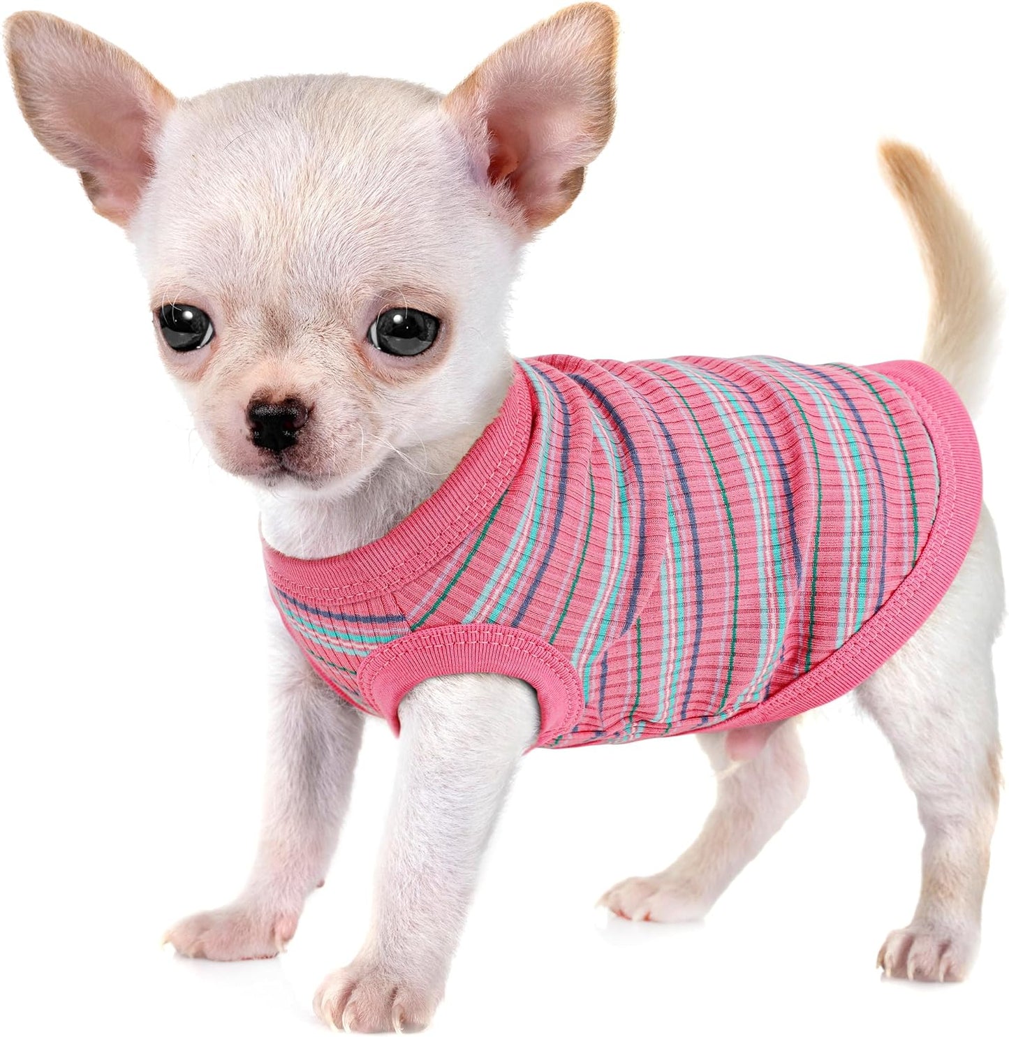 Chaleco algodón perros pequeños estilo cachorro