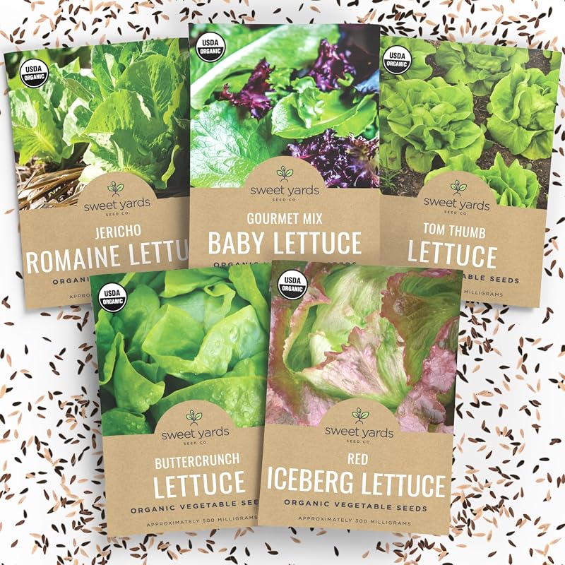 Paquete 5 semillas orgánicas lechuga y verduras para siembra