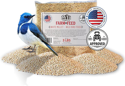 Alimento para pájaros cantores Mijo blanco 3lb