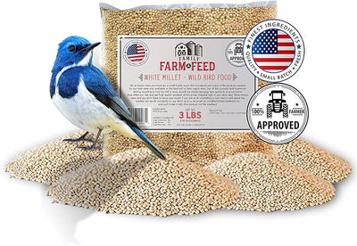 Alimento para pájaros cantores Mijo blanco 3lb