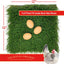 Pack 3 Nest Box Turf Verde para Jardín y Mascotas
