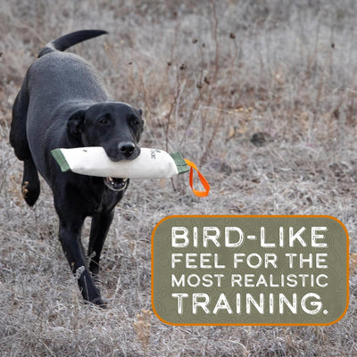 Muñeco entrenamiento perros cazadores de Duck Canvas