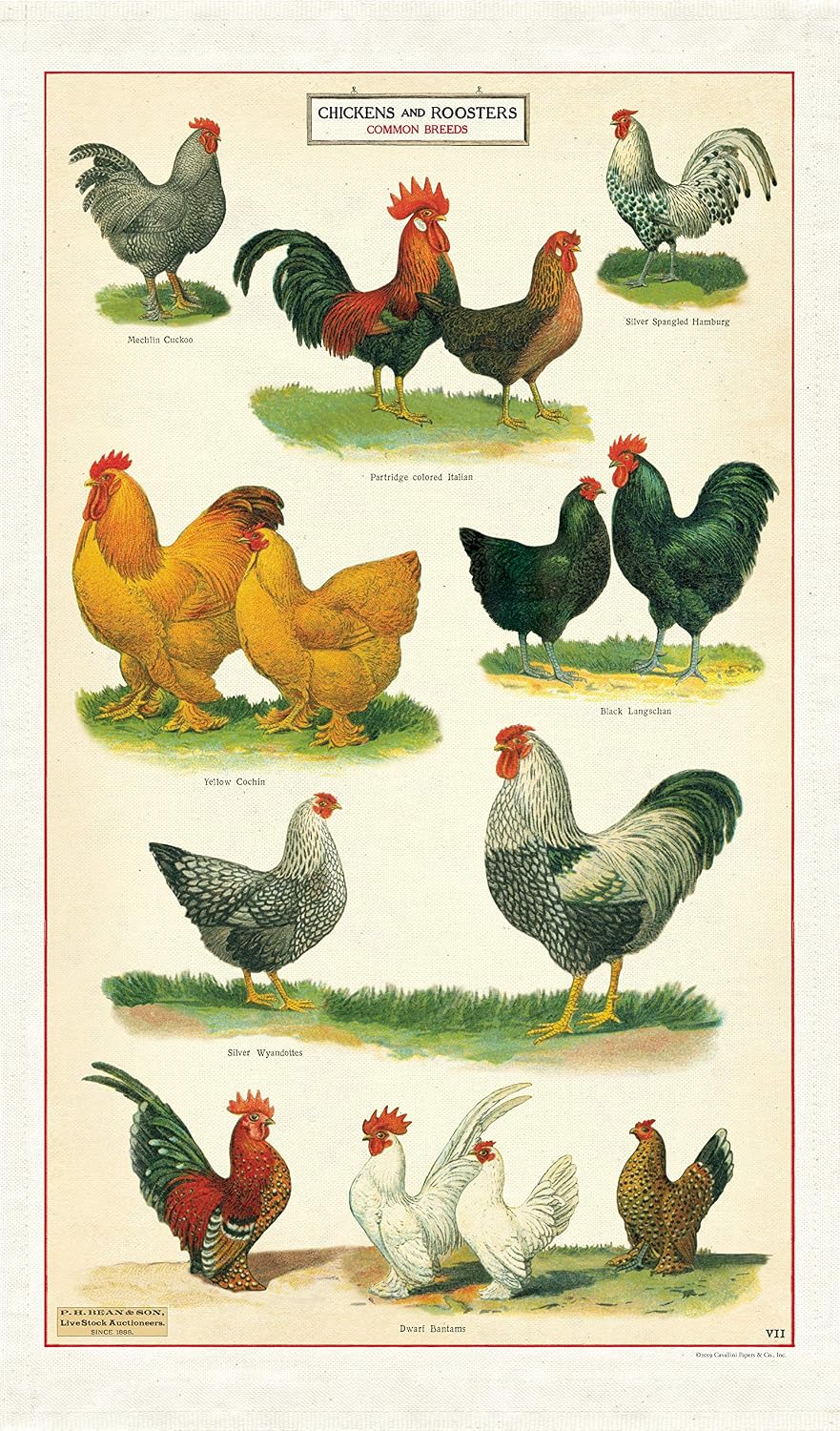 Paño de Cocina para Pollos Multicolor y Antiarañazos