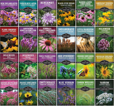 Semillas plantas nativas 24 variedades flores jardín mariposas