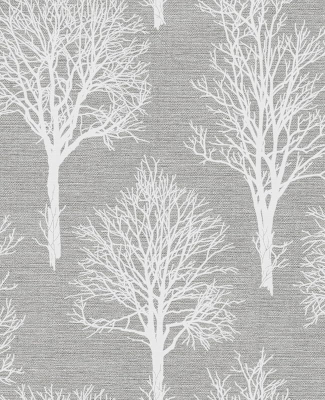 Fondo de Pantalla Paloma Gris para Computadora y Celular