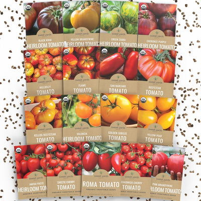 Paquete 17 semillas tomate orgánico Black Krim Golden Jubilee