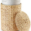 Cubo basura mimbre 4.5gal con tapa plástico extraíble
