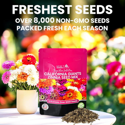 Semillas Zinnia para plantar al aire libre 2oz