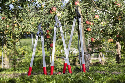 Podadora suiza de 32pulg para árboles con hoja