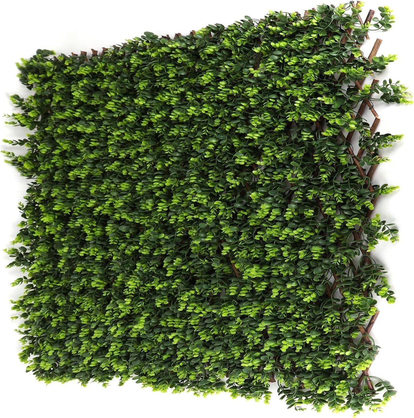 Panel vegetación bambú cercado flexible bricolaje