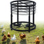 Soporte metal comedero pollo 4 alturas base antiderrap