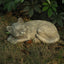 Estatuas gato durmiendo decoración jardín patio