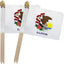 Bandera Illinois madera 5x8pulg set 12