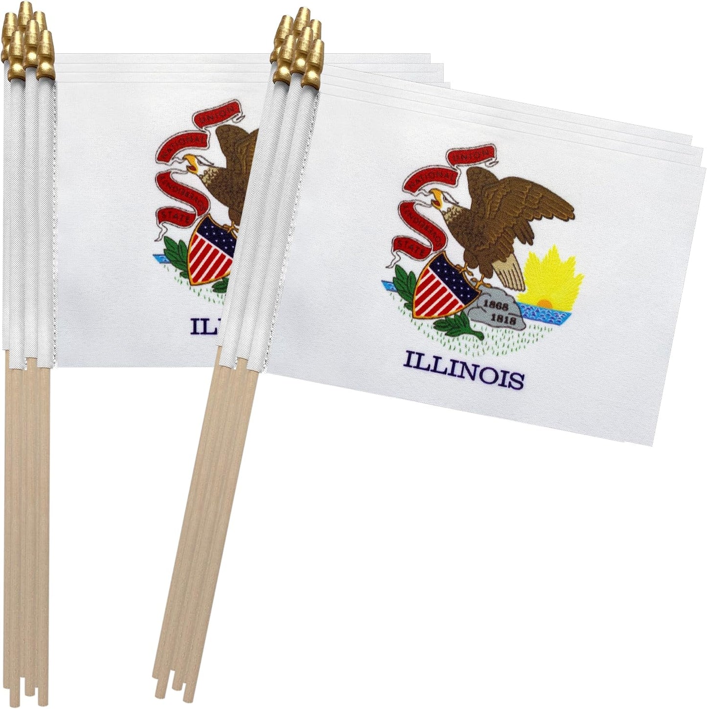 Bandera Illinois madera 5x8pulg set 12