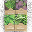 Pack 4 semillas verdes mostaza orgánicas Mizuna