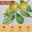 Mantel cuadrado algodón patrón limoncello 54x54pulg