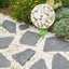 Piedras decorativas 3/8" 5lb para acuario y paisajismo