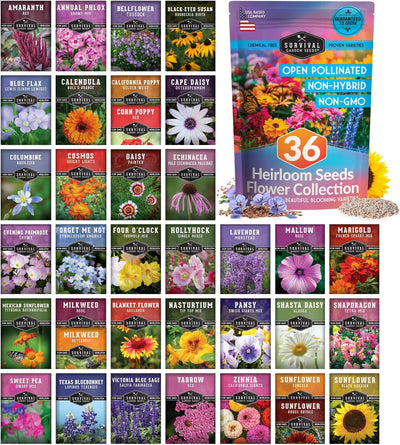 Kit 36 paquetes semillas flores jardín polinizadores