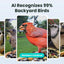 Cámara inteligente alimentadora pájaros visión nocturna IP66
