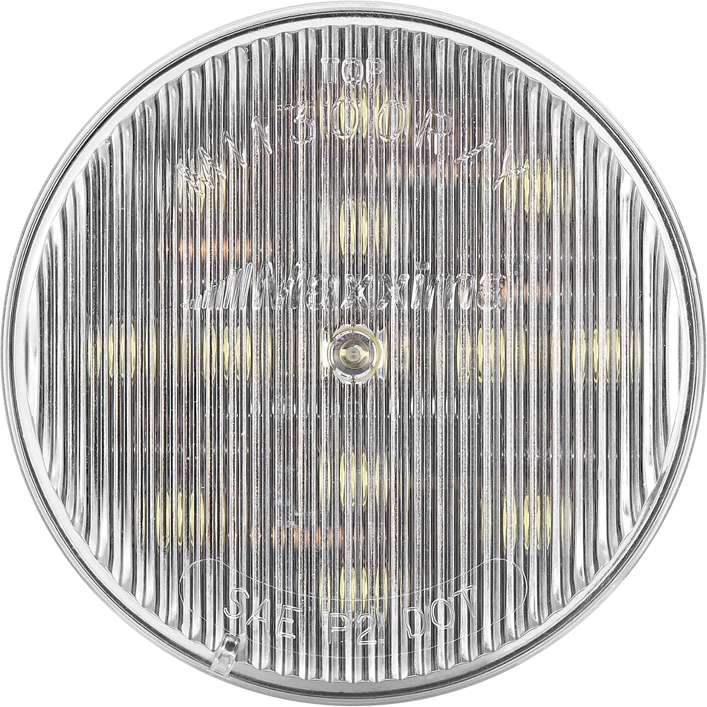 Luz marcador LED claro lente redondo 2-1/2