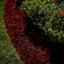 Tinte mantillo rojo 6400 pies2 para jardín 1/2 galón