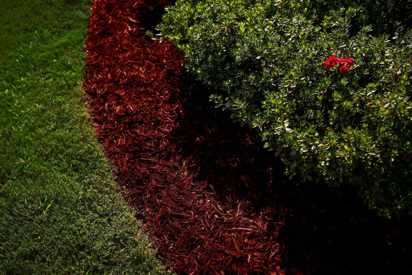 Tinte mantillo rojo 6400 pies2 para jardín 1/2 galón