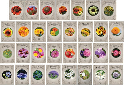 Set 124 pack semillas flores premium sin OMG EE.UU.