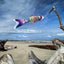 Bandera viento koi arco iris 3 pies