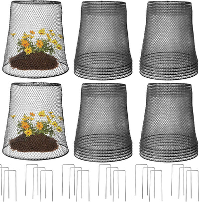 24 Cloches Metal 14x14pulg Protección Jardín Con Estacas
