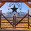 Arte pared metal Lone Star decoración hogar estilo western