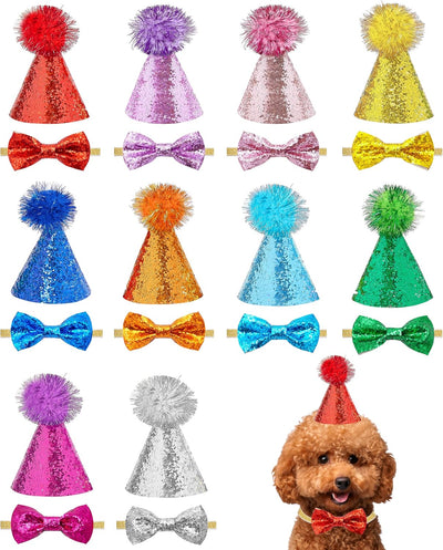 Sombrero cumpleaños perros pequeño con purpurina
