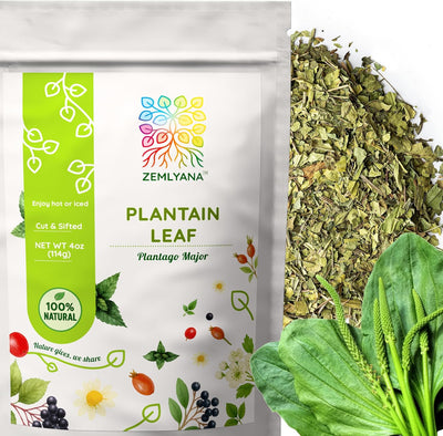 Hoja plátano seco para té plantago llanten 4oz