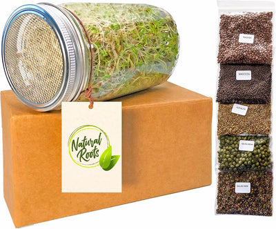 Paquete 5 semillas brócoli alfalfa rábano mungo