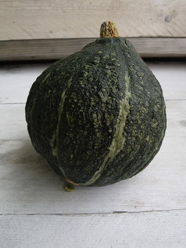 Semillas calabaza Hubbard verde