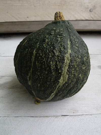 Semillas calabaza Hubbard verde