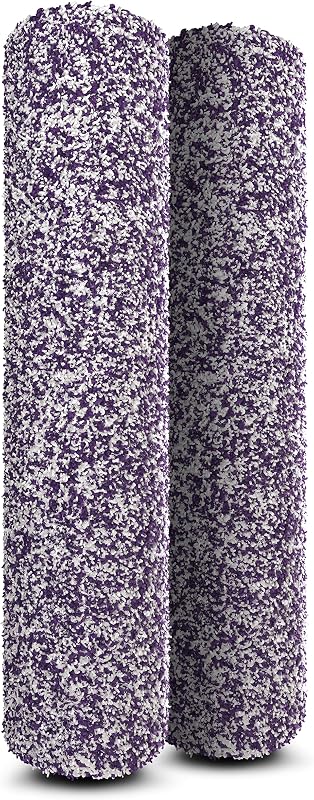 Pack 2 cepillos antimicrobianos morado para HydroVac