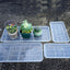2 Pzas Platillos Plástico para Plantas 5.5x10" Transparente