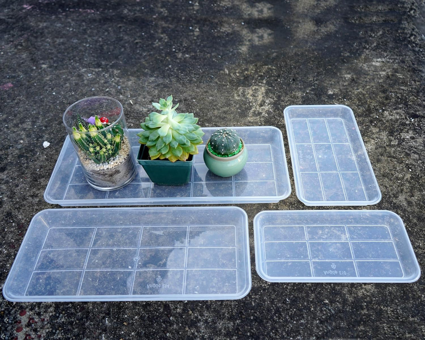 2 Pzas Platillos Plástico para Plantas 5.5x10" Transparente