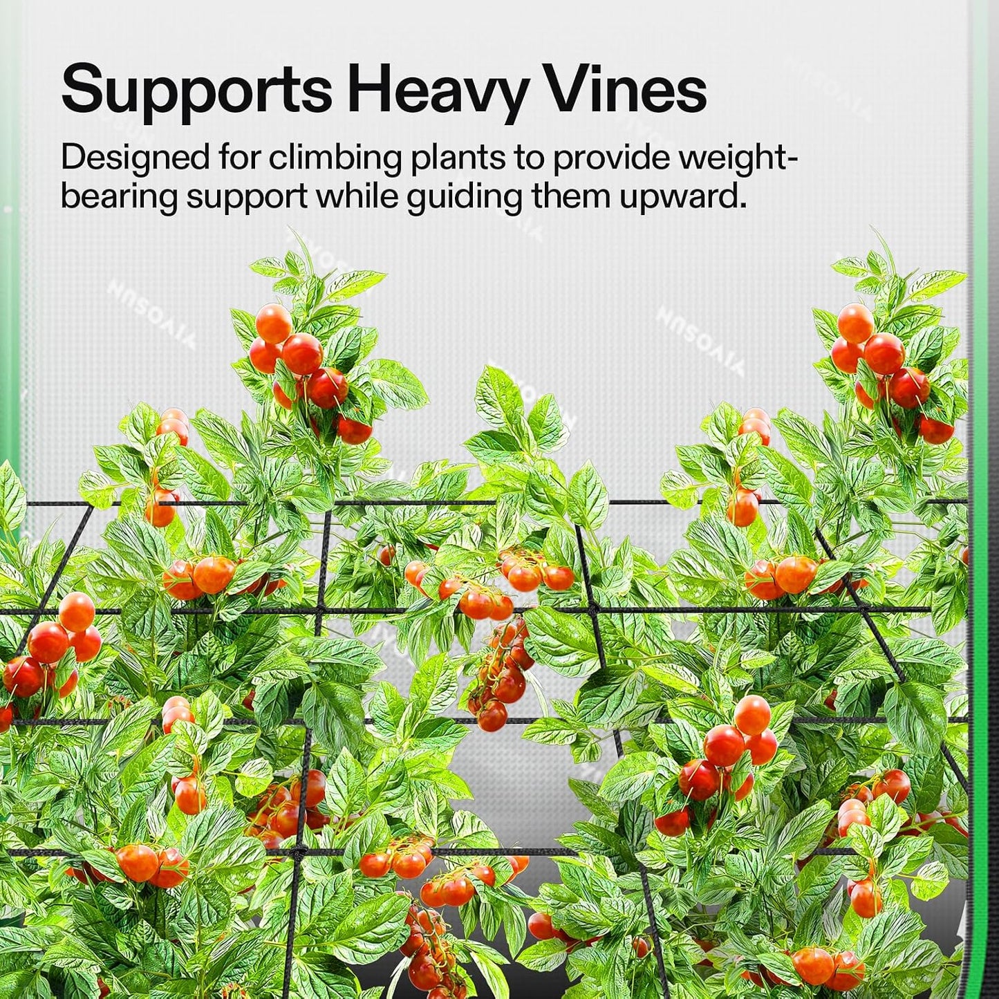 Red elástica para plantas 2x4ft con 4 ganchos
