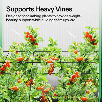 Red elástica para plantas 2x4ft con 4 ganchos