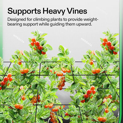 Red elástica para plantas 2x4ft con 4 ganchos