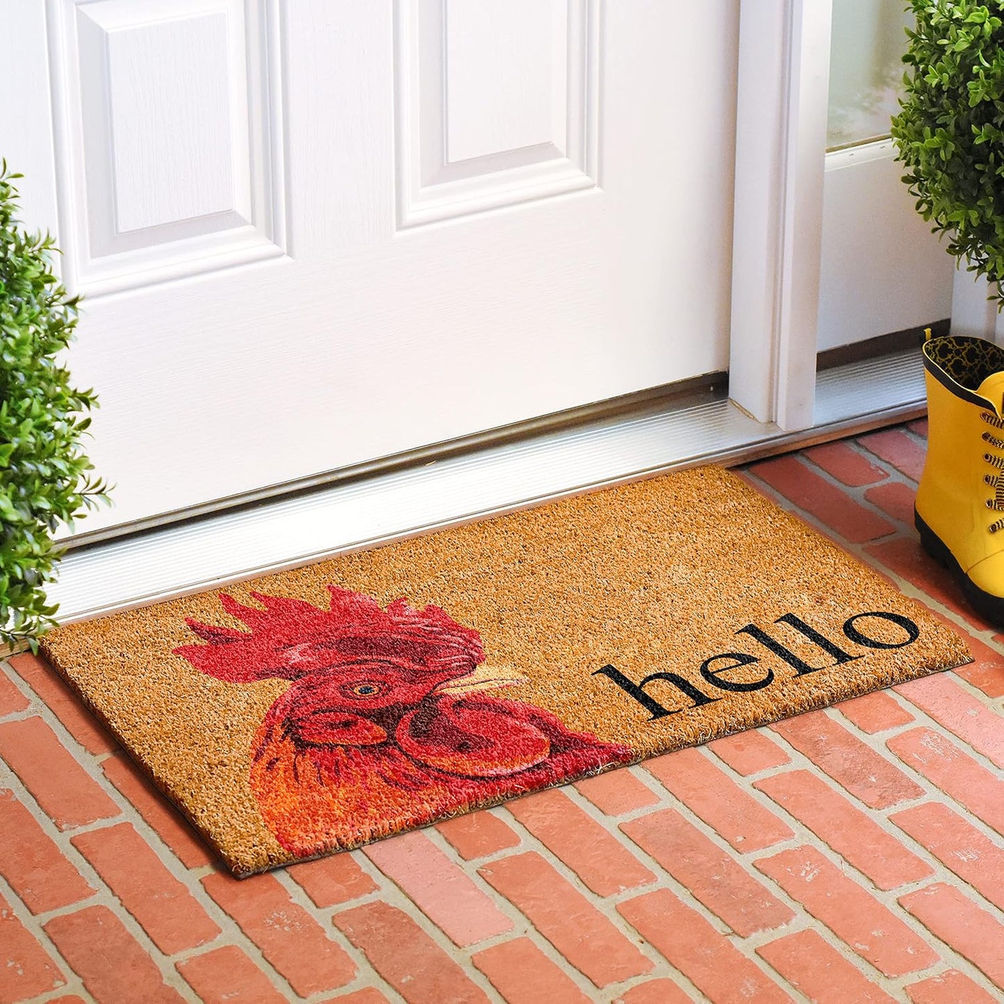 Felpudo de Gallo 17x29 Pulg para Entrada de Casa