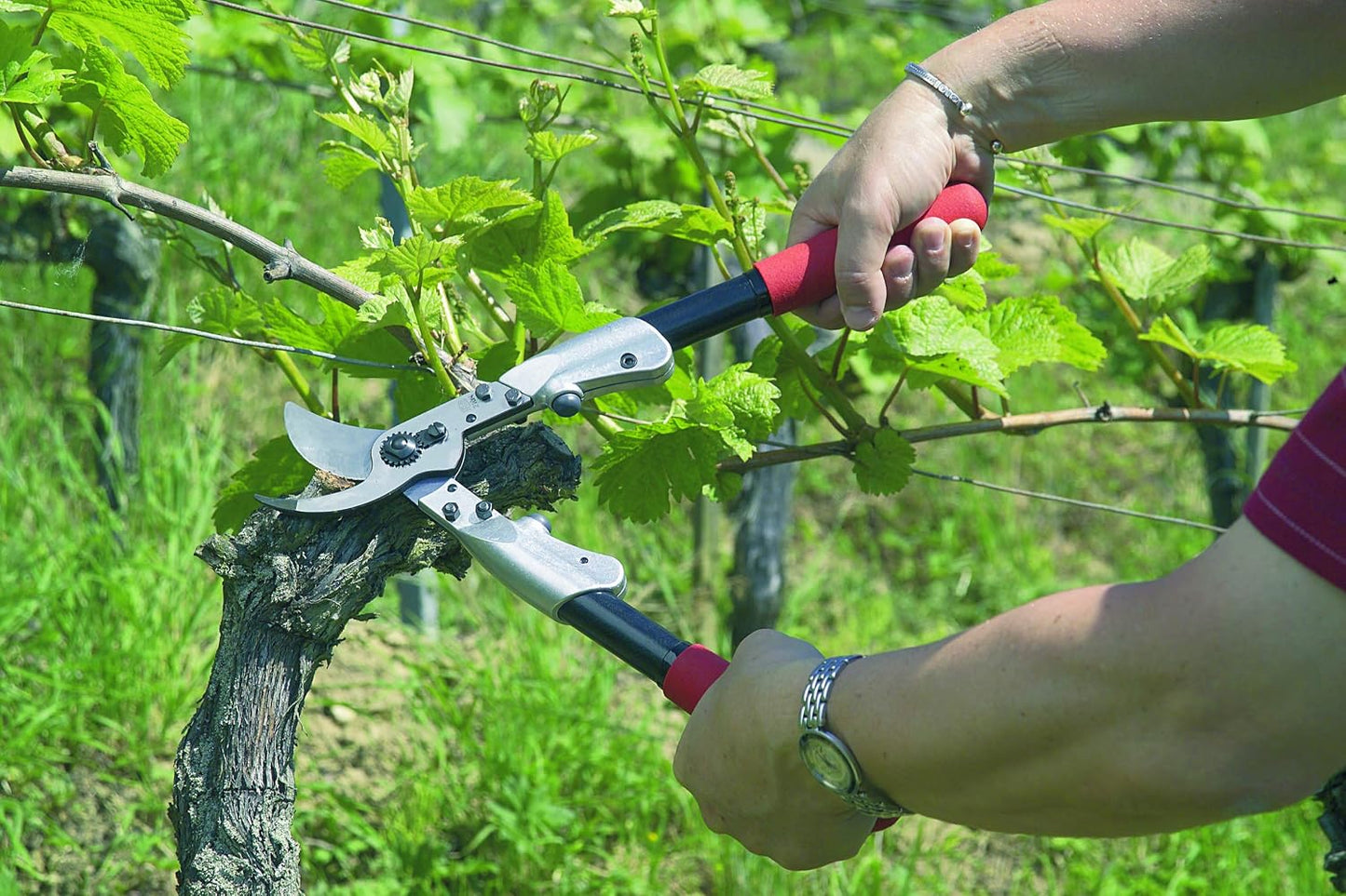 Loppers de 24.8 pulg acero alta resistencia jardinería