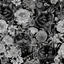 Papel tapiz vintage blanco y negro con animales 17.5x276"