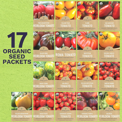 Paquete 17 semillas tomate orgánico Black Krim Golden Jubilee
