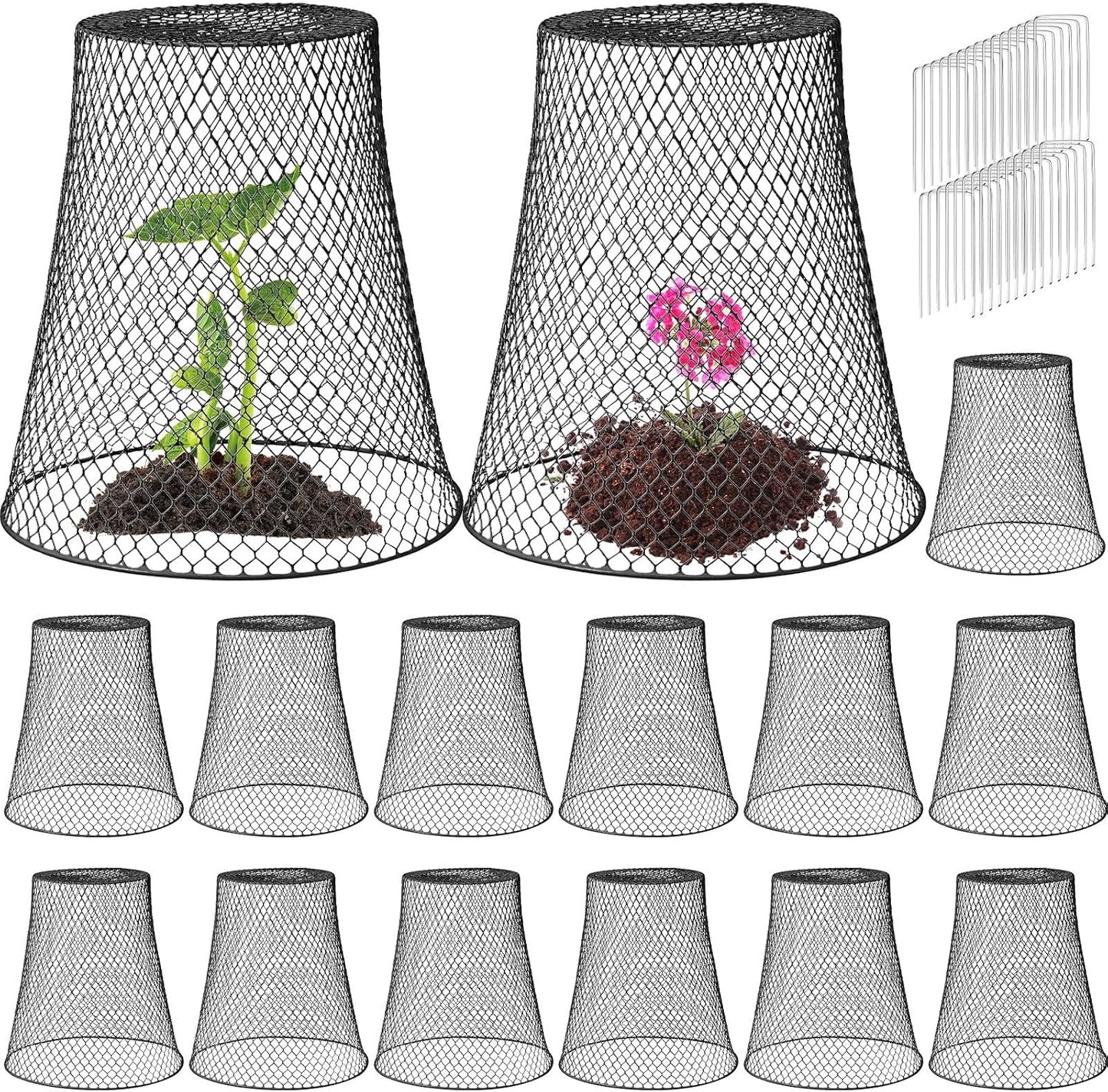 Cloche alambre para plantas 11x12pulg con estacas negro