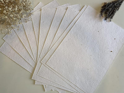 25 Pzas Papel semilla plantable A5 con flores silvestres