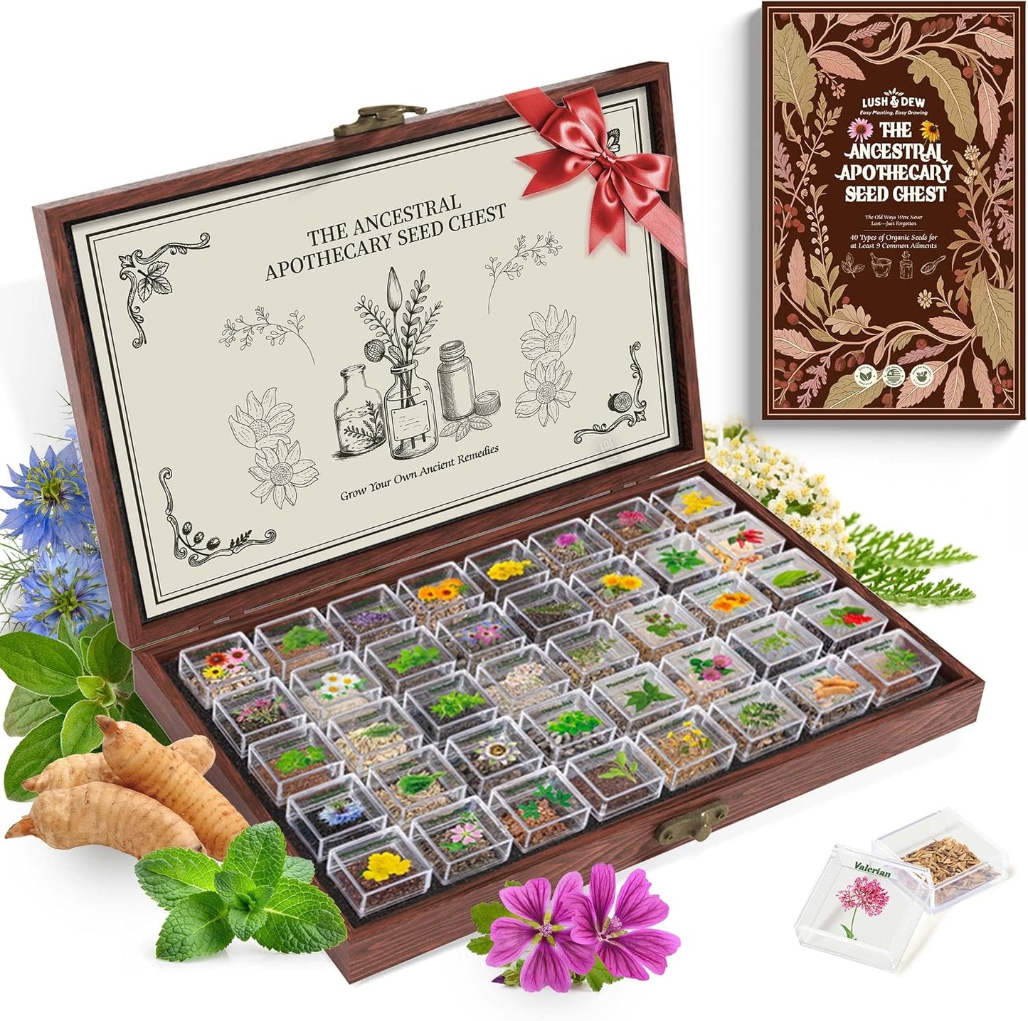 Cofre semillas hierbas medicinales 40 variedades sin OMG